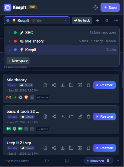 KeepIt space picker listing spaces with their tab counts